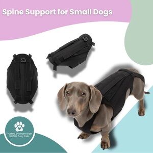Black Spine Support Harness for Small Dogs